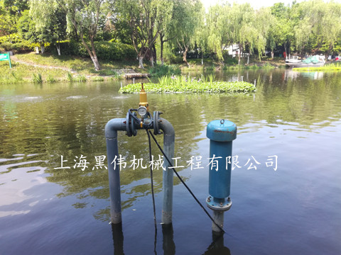 河道治理沉水式鼓風機