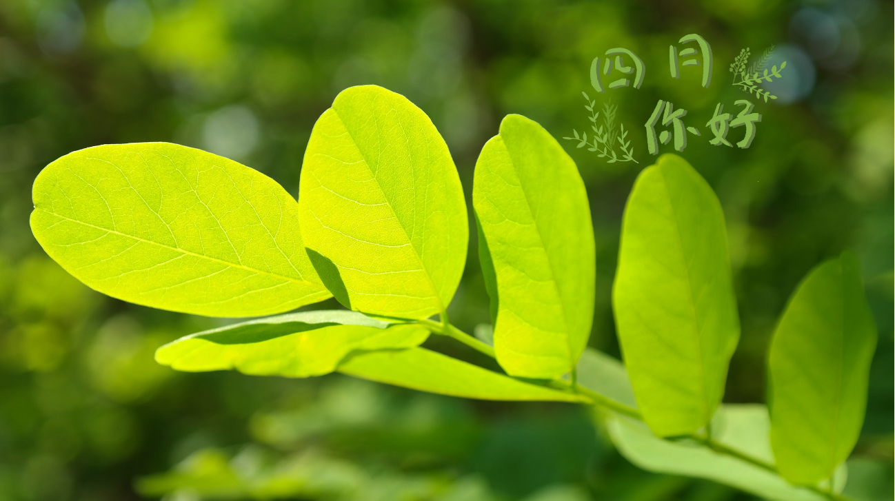 你好！4月
